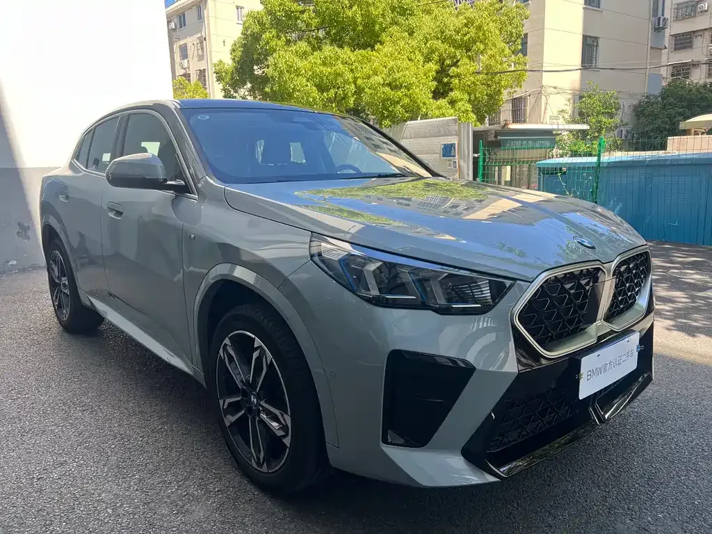 BMW X2 (Import) 2025 из CN, фото 8