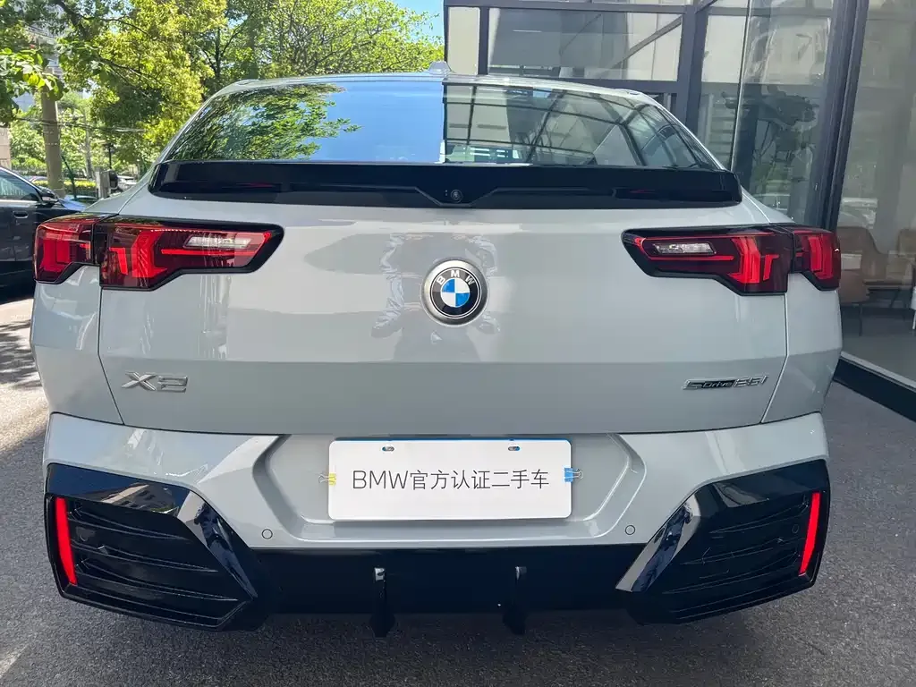 BMW X2 (Import) 2025 из CN, фото 5