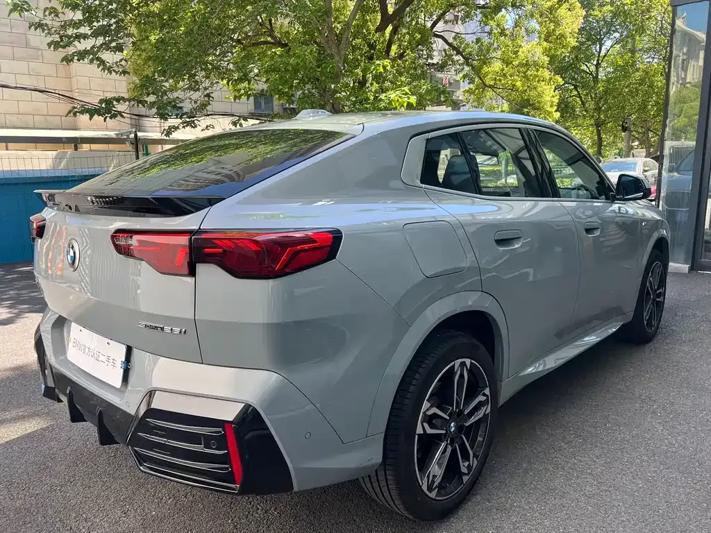 BMW X2 (Import) 2025 из CN, фото 9