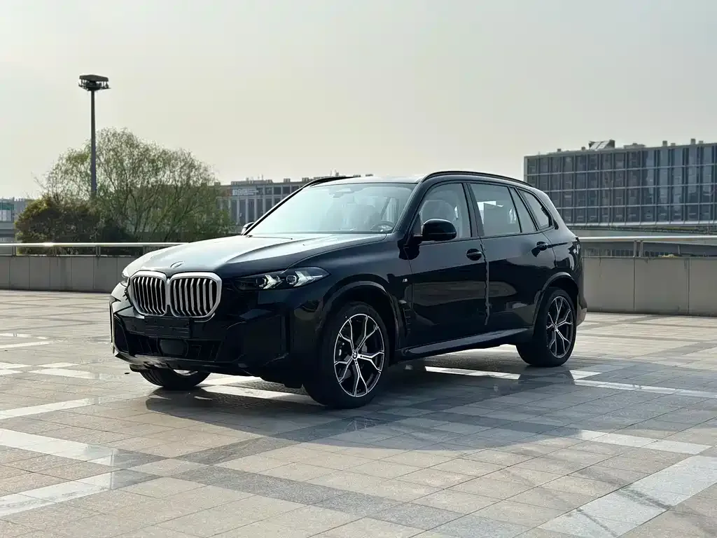 BMW X5 — фото 1