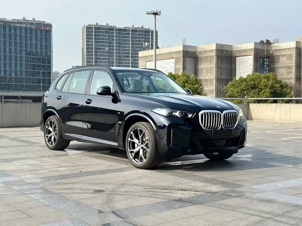 BMW X5 — фото 9