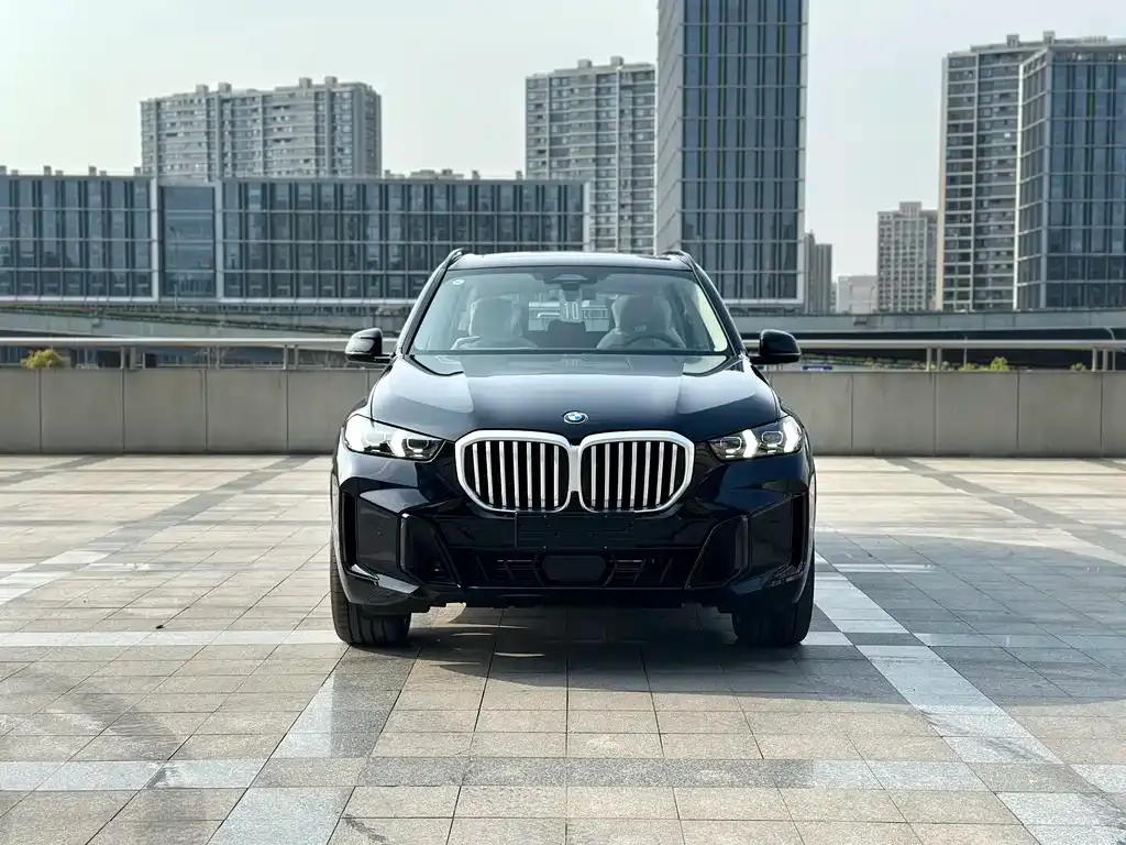 BMW X5 — фото 8