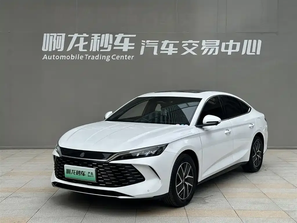 BYD Qin L — фото 1