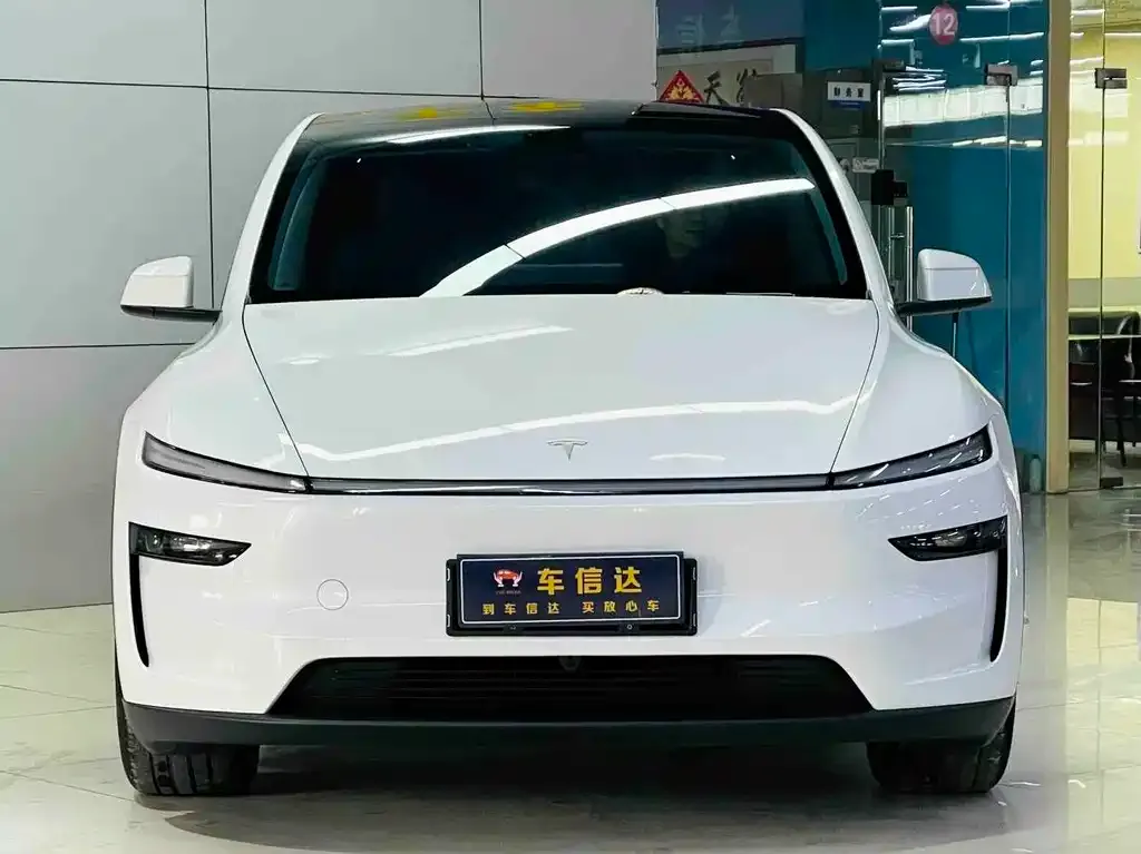 Tesla Model Y — фото 9