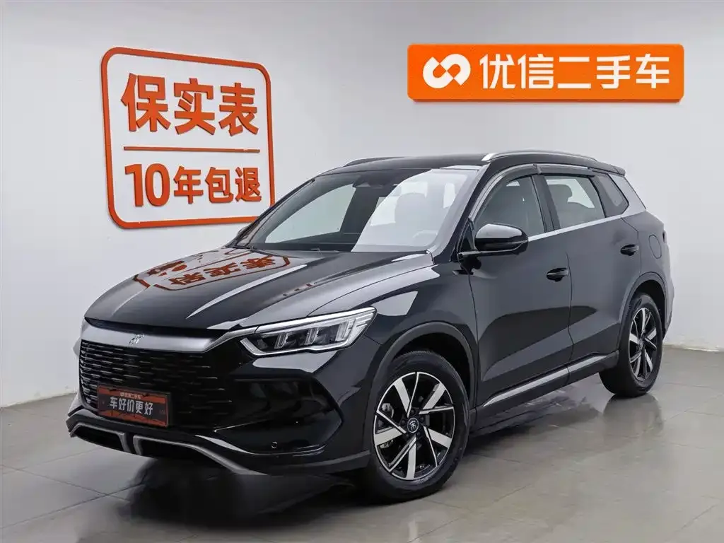 BYD Pro New Energy 2024 из CN, фото 1