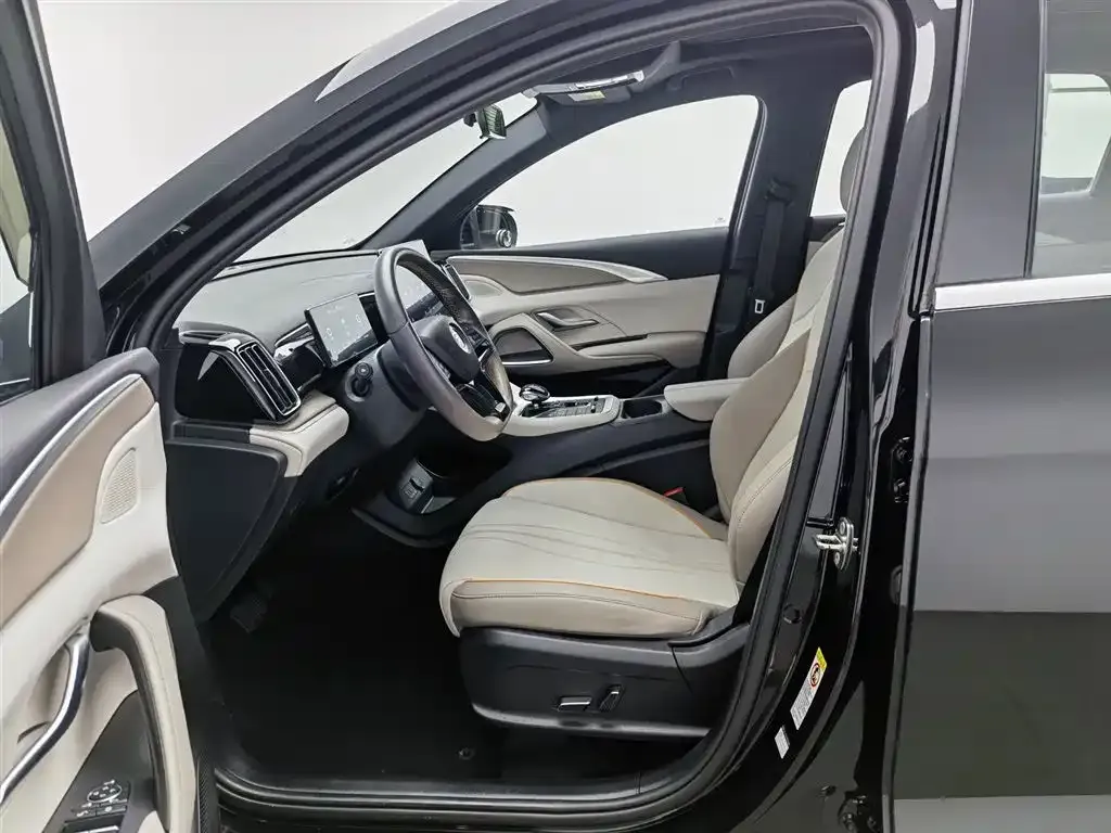 BYD Pro New Energy 2024 из CN, фото 9