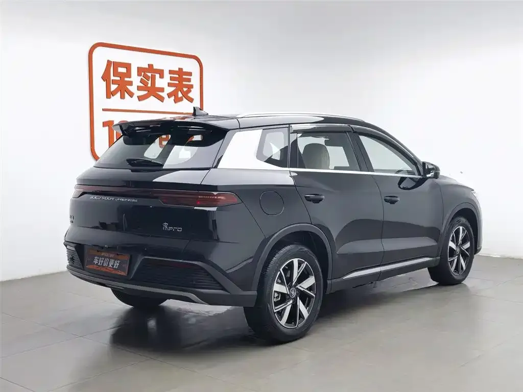 BYD Pro New Energy 2024 из CN, фото 2