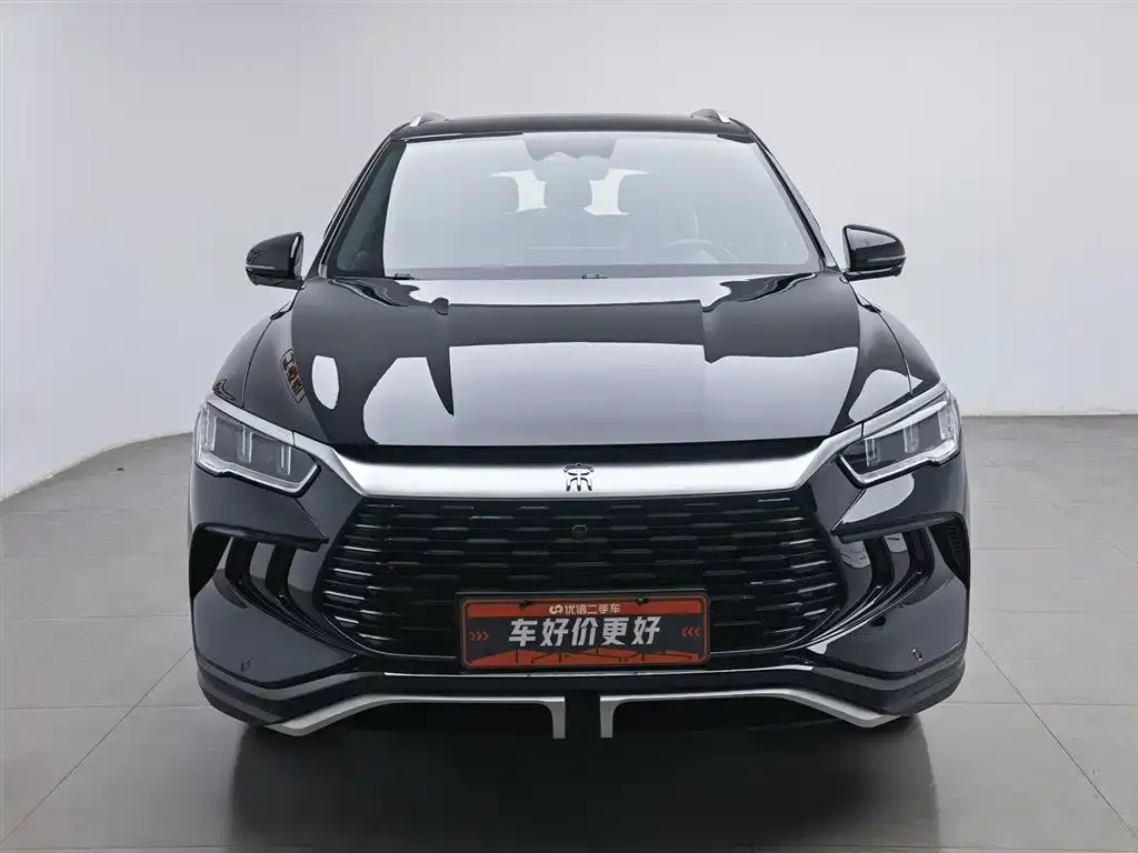 BYD Pro New Energy 2024 из CN, фото 3