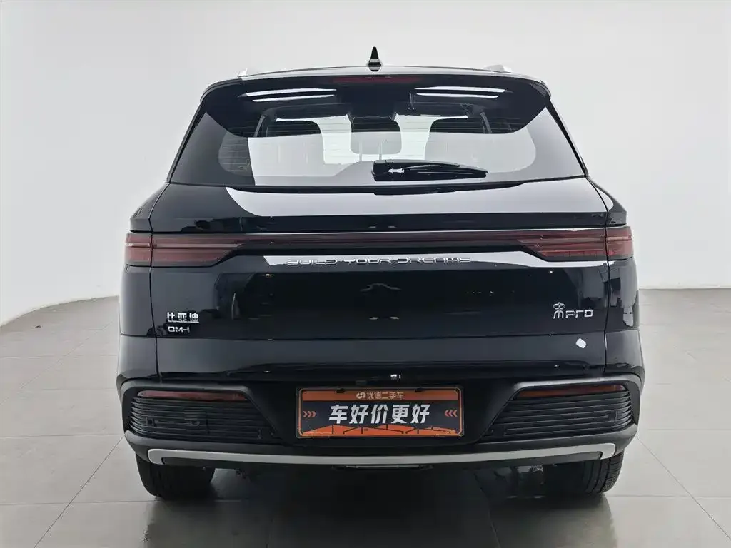 BYD Pro New Energy 2024 из CN, фото 5