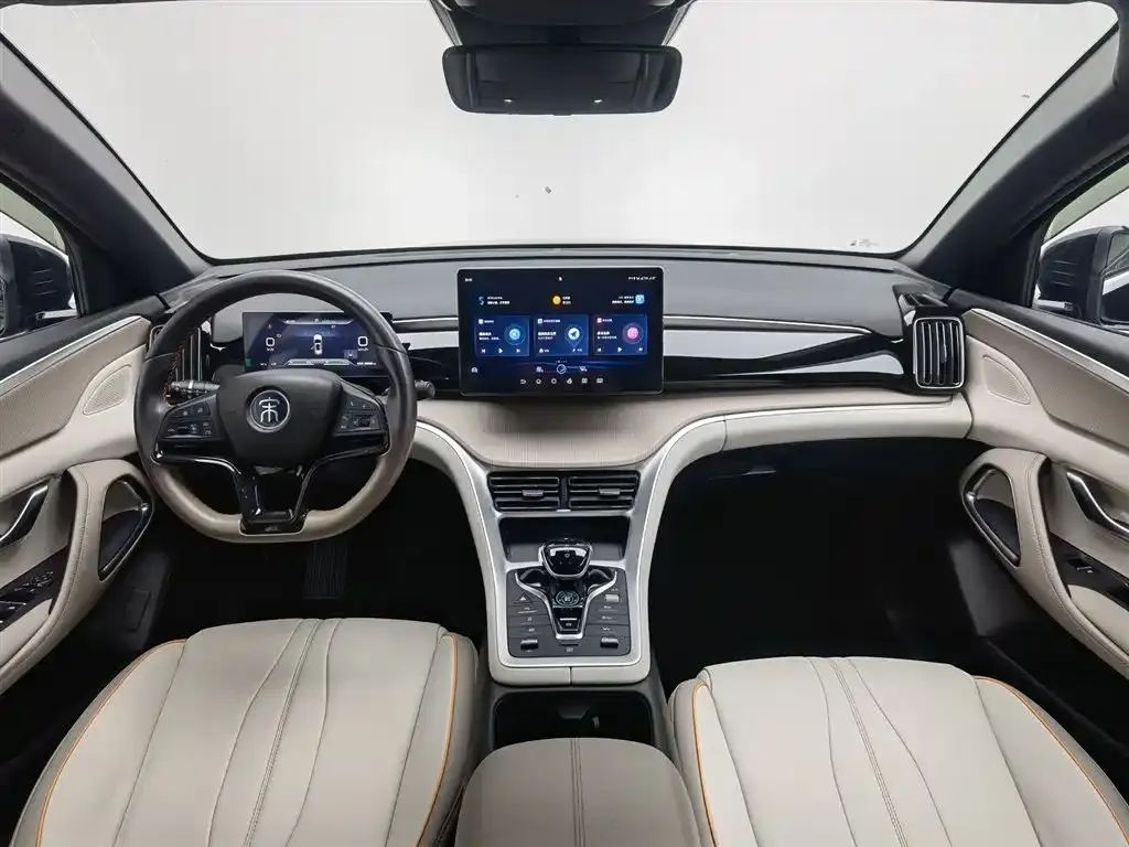 BYD Pro New Energy 2024 из CN, фото 10
