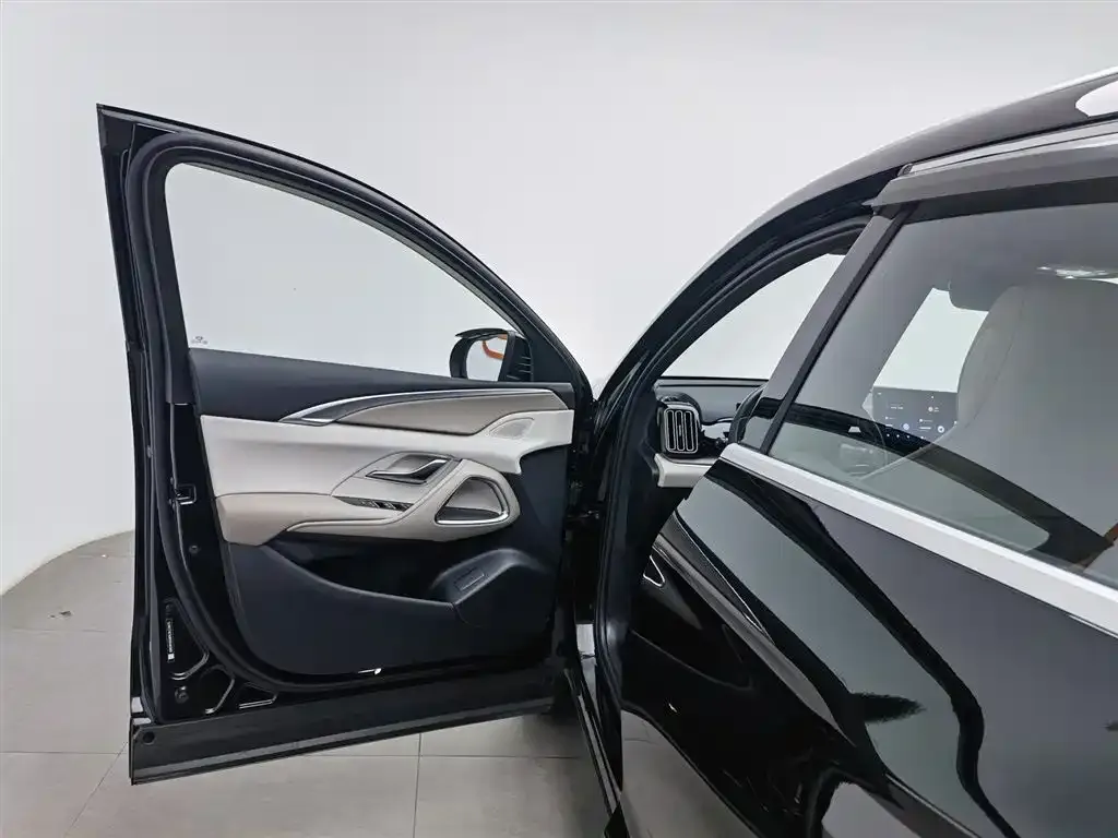 BYD Pro New Energy 2024 из CN, фото 7