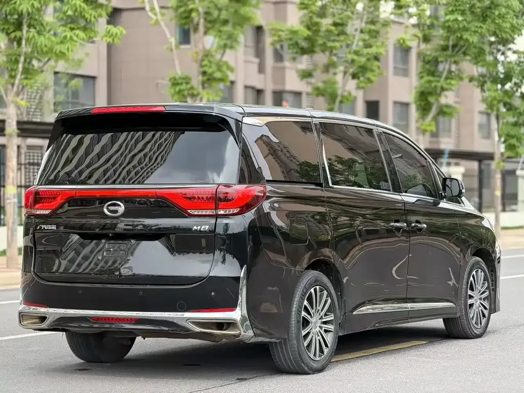 GAC Motor Trumpchi M8 2021 из CN, фото 5