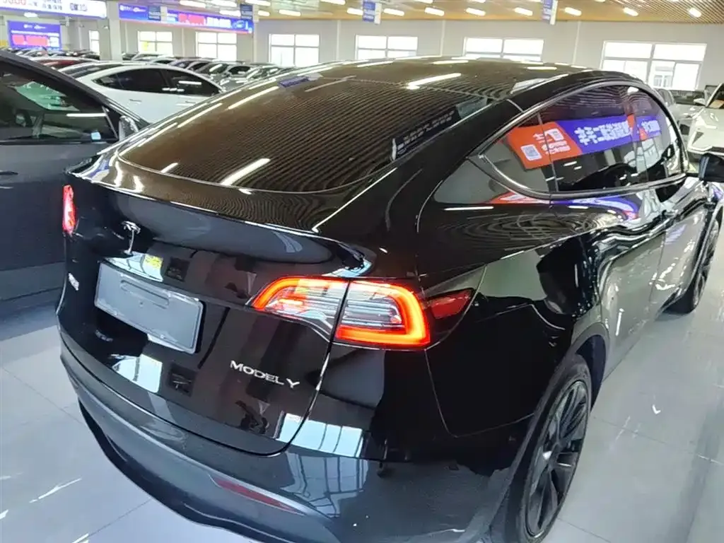 Tesla Model Y — фото 10