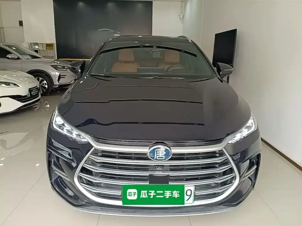 BYD Tang New Energy — фото 5