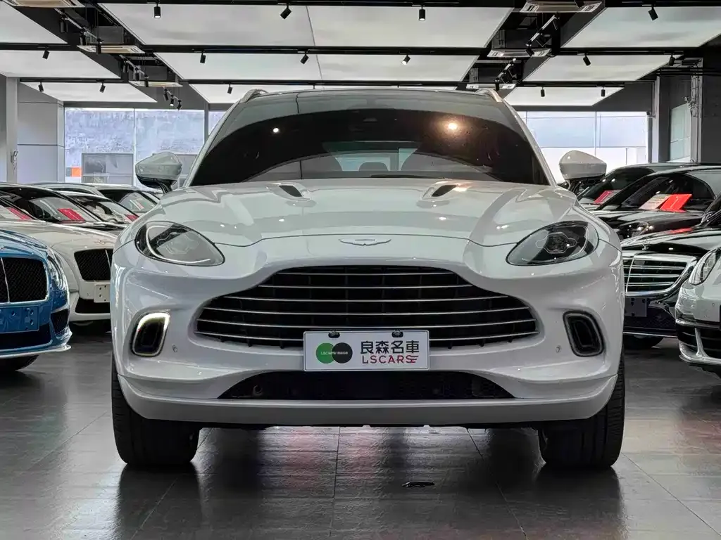 Aston Martin DBX 2022 из CN, фото 6