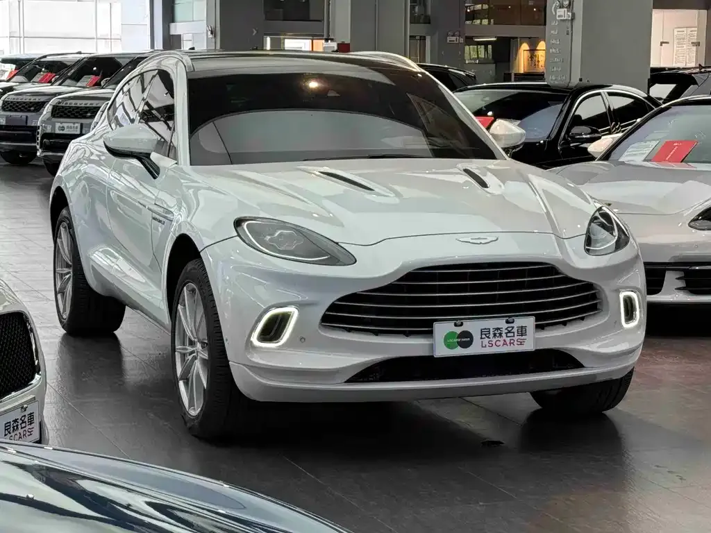 Aston Martin DBX 2022 из CN, фото 5
