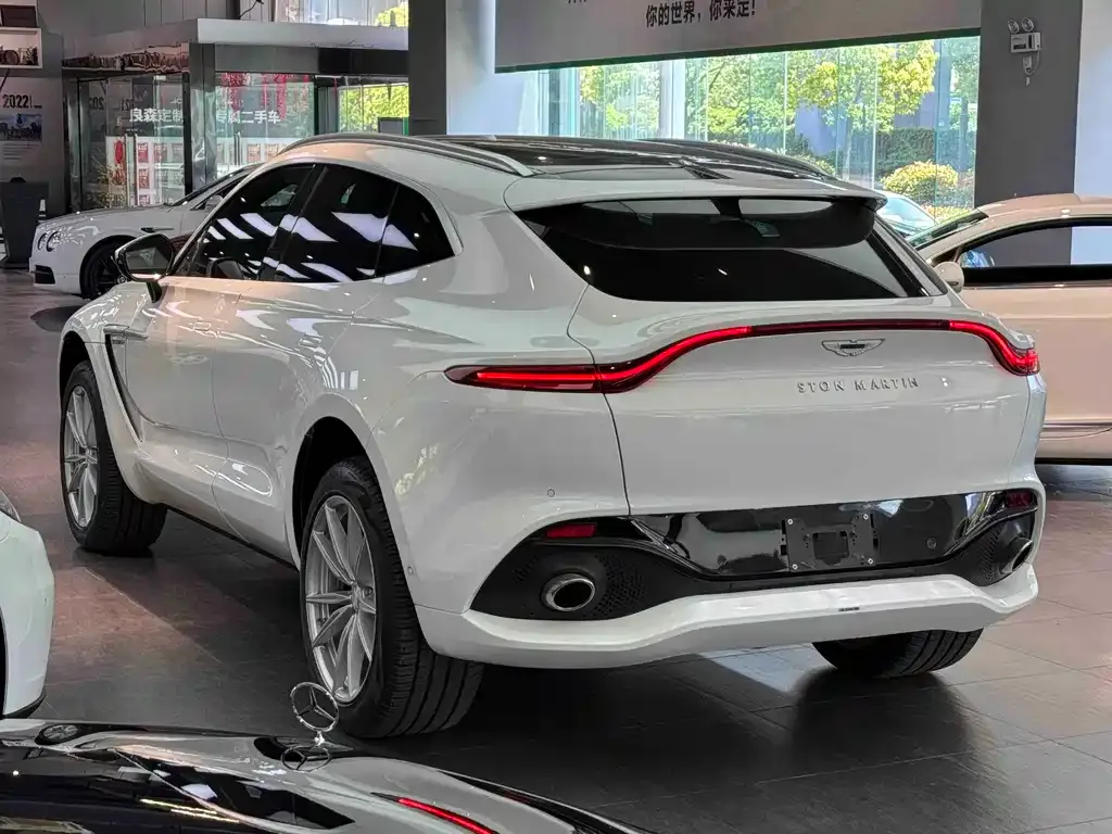 Aston Martin DBX 2022 из CN, фото 8