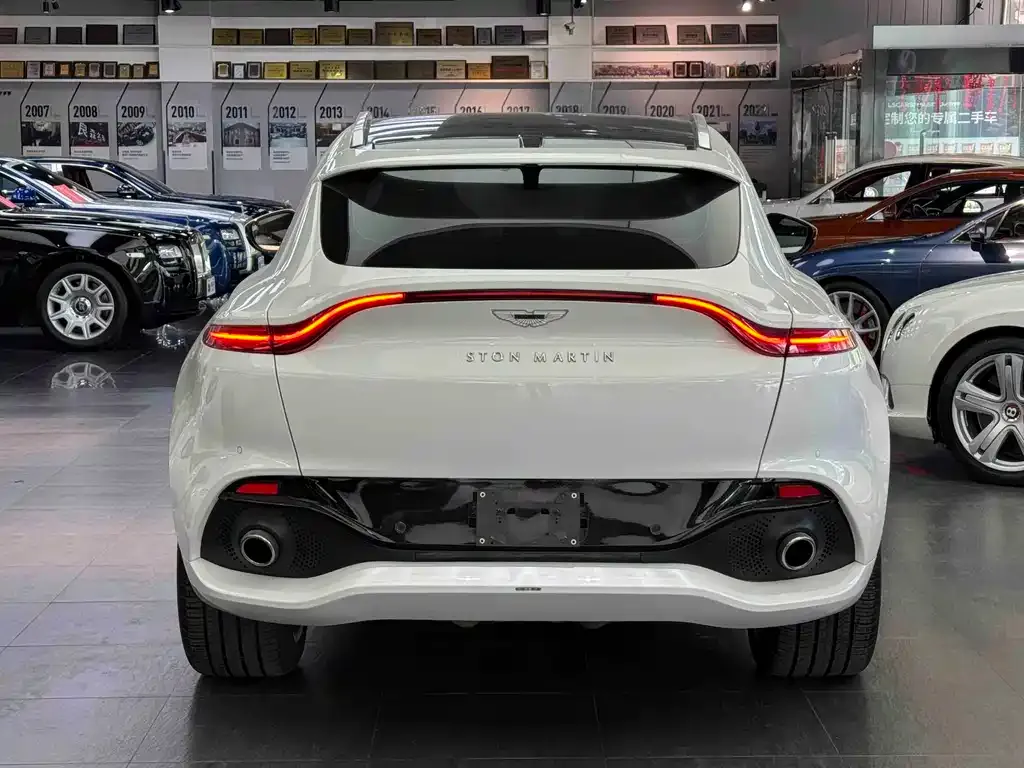 Aston Martin DBX 2022 из CN, фото 7