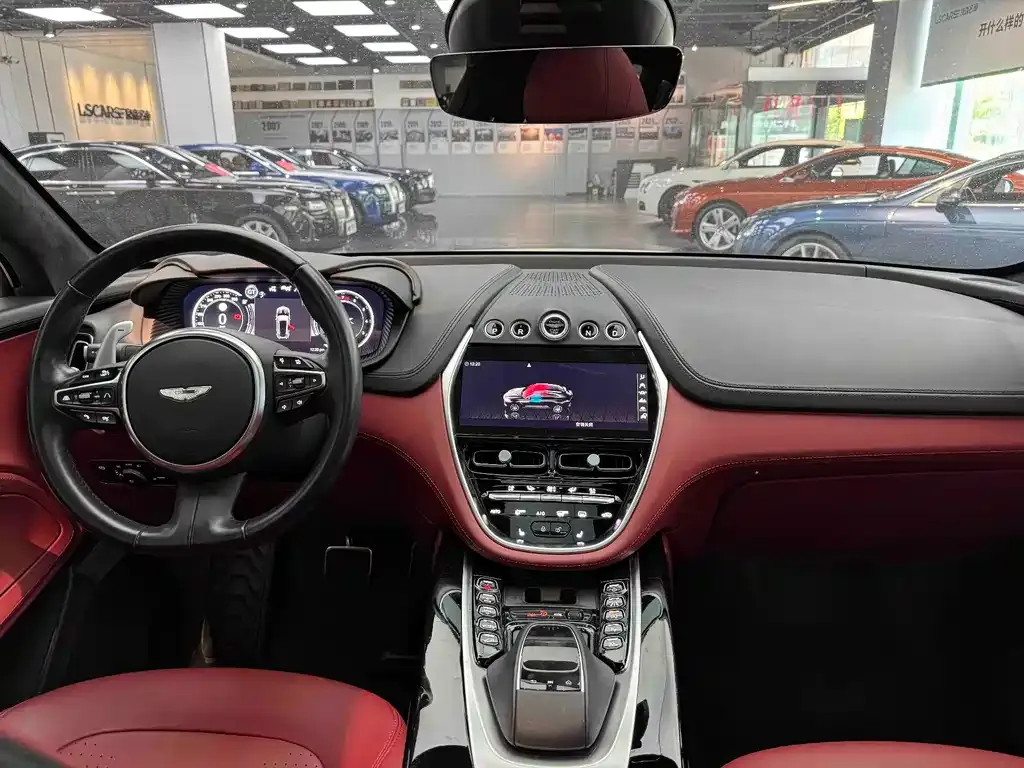 Aston Martin DBX 2022 из CN, фото 10