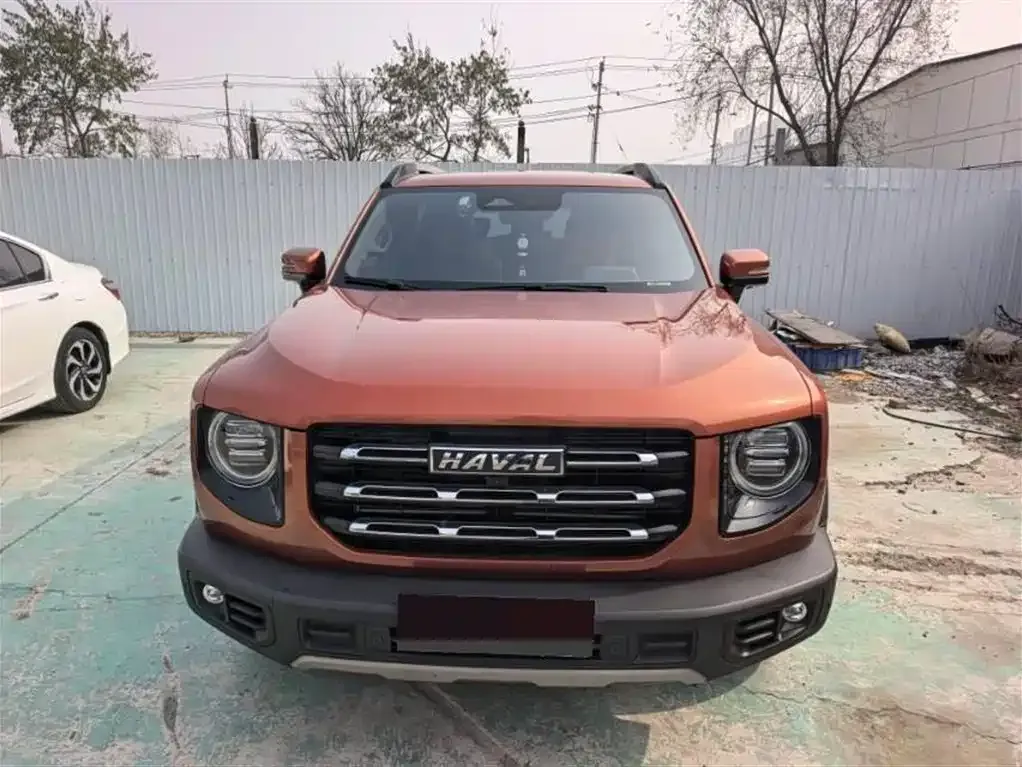 Haval Big Dog 2022 из CN, фото 9