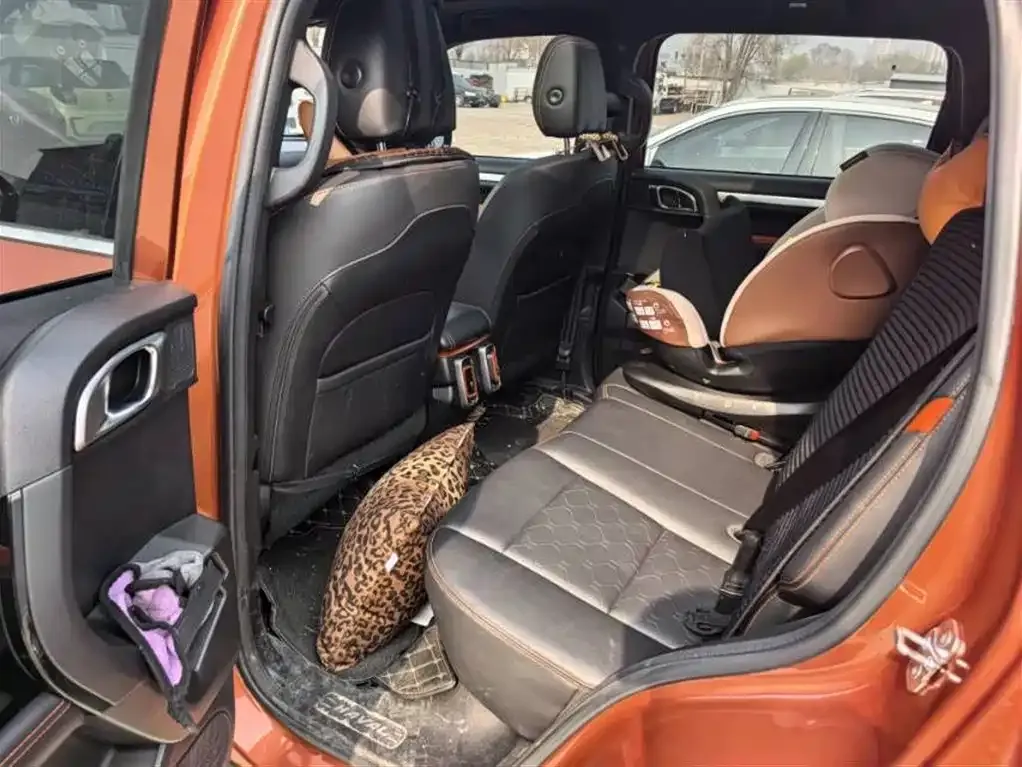 Haval Big Dog 2022 из CN, фото 5