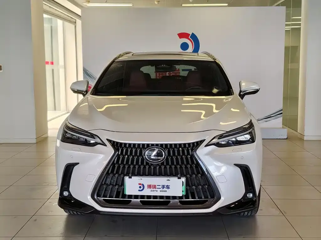 Lexus NX New Energy 2022 из CN, фото 8
