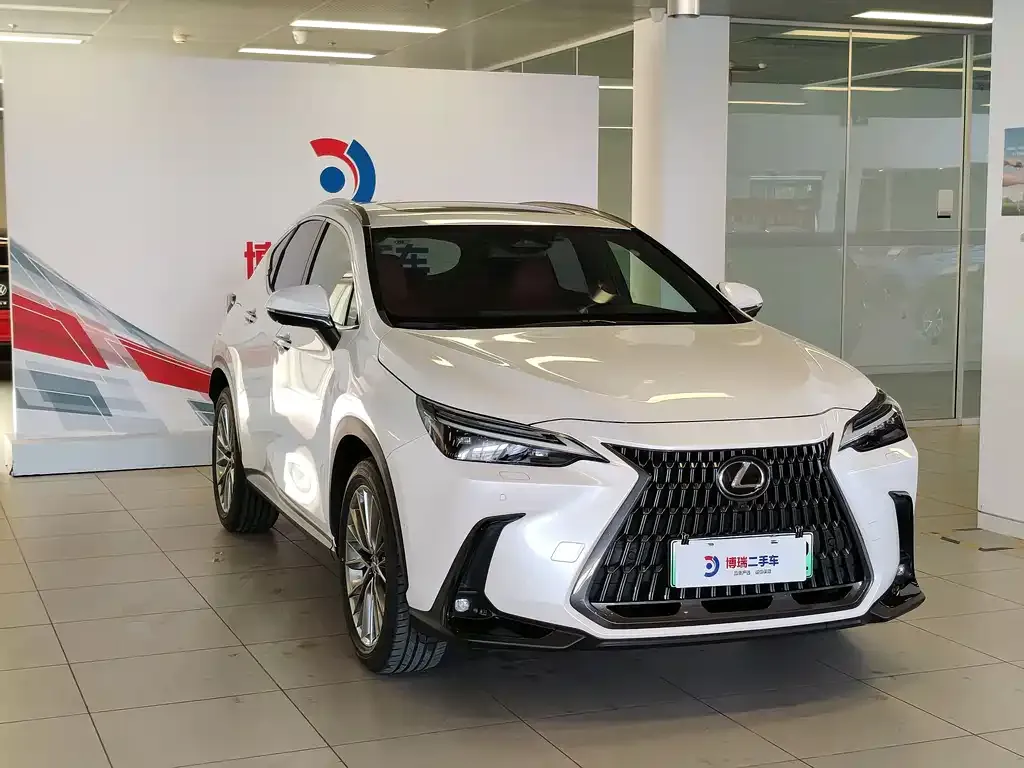 Lexus NX New Energy 2022 из CN, фото 9