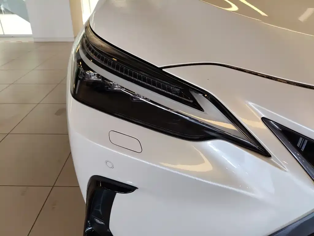 Lexus NX New Energy 2022 из CN, фото 5