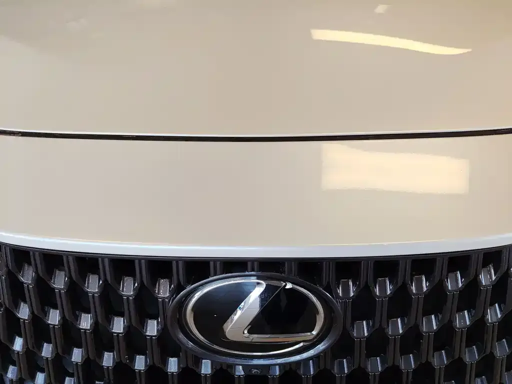 Lexus NX New Energy 2022 из CN, фото 4