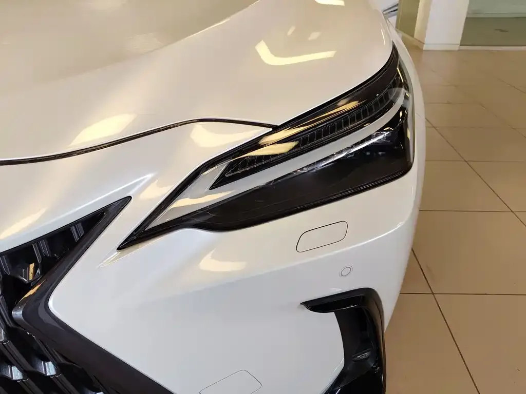 Lexus NX New Energy 2022 из CN, фото 3