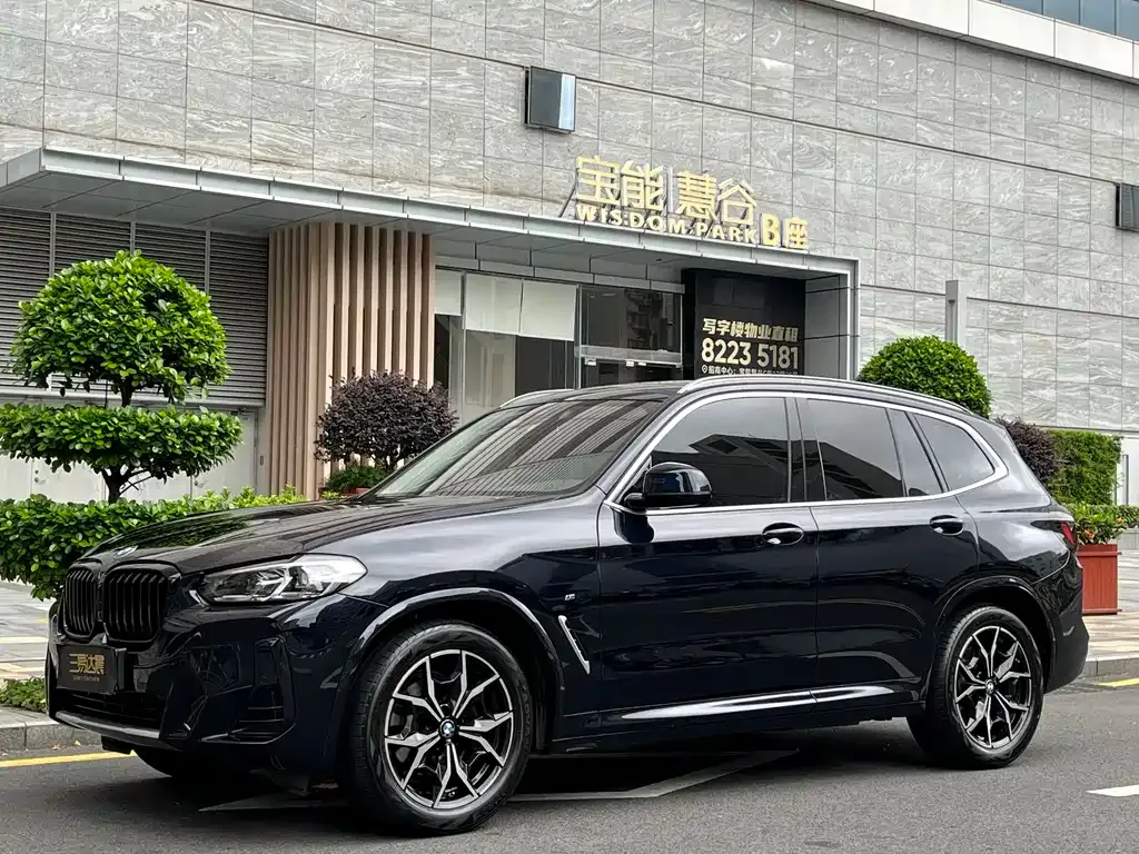 BMW X3 — фото 1