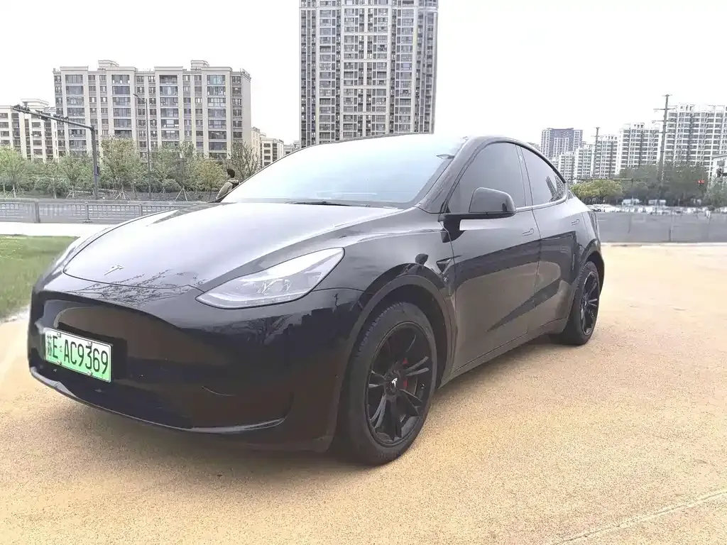 Tesla Model Y — фото 1