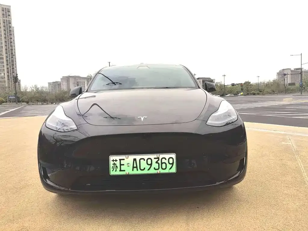 Tesla Model Y — фото 5