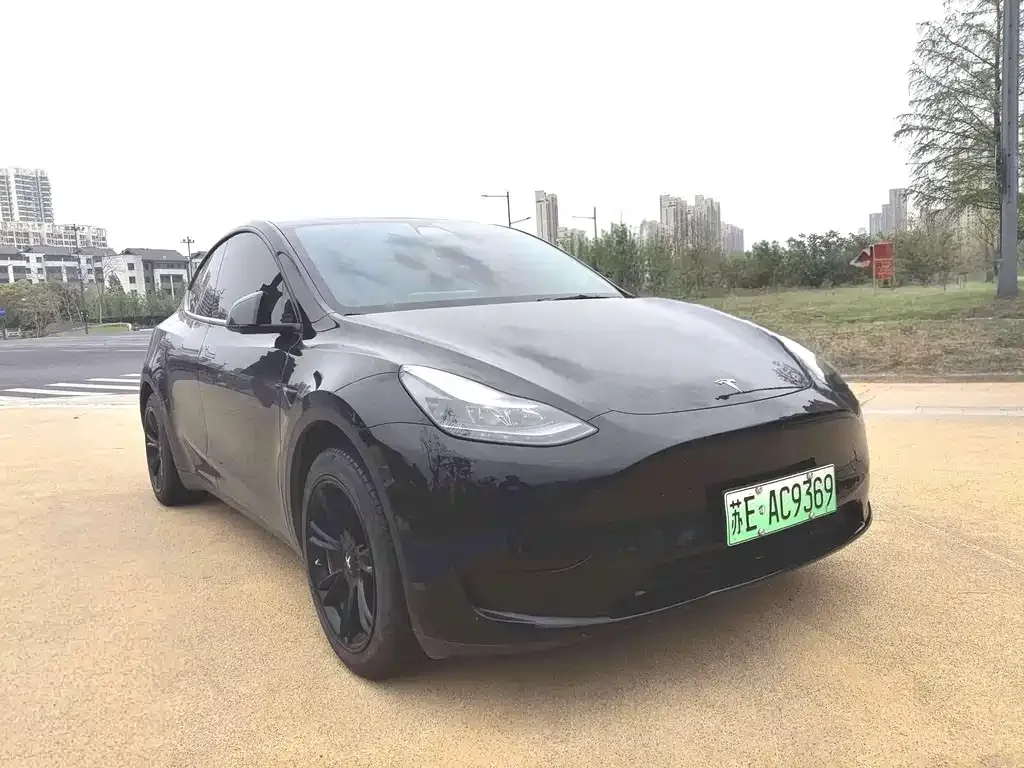 Tesla Model Y — фото 4