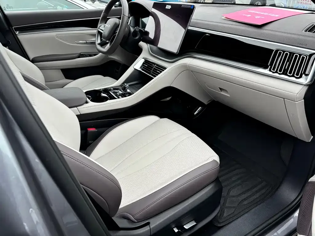 BYD PLUS New Energy — фото 10