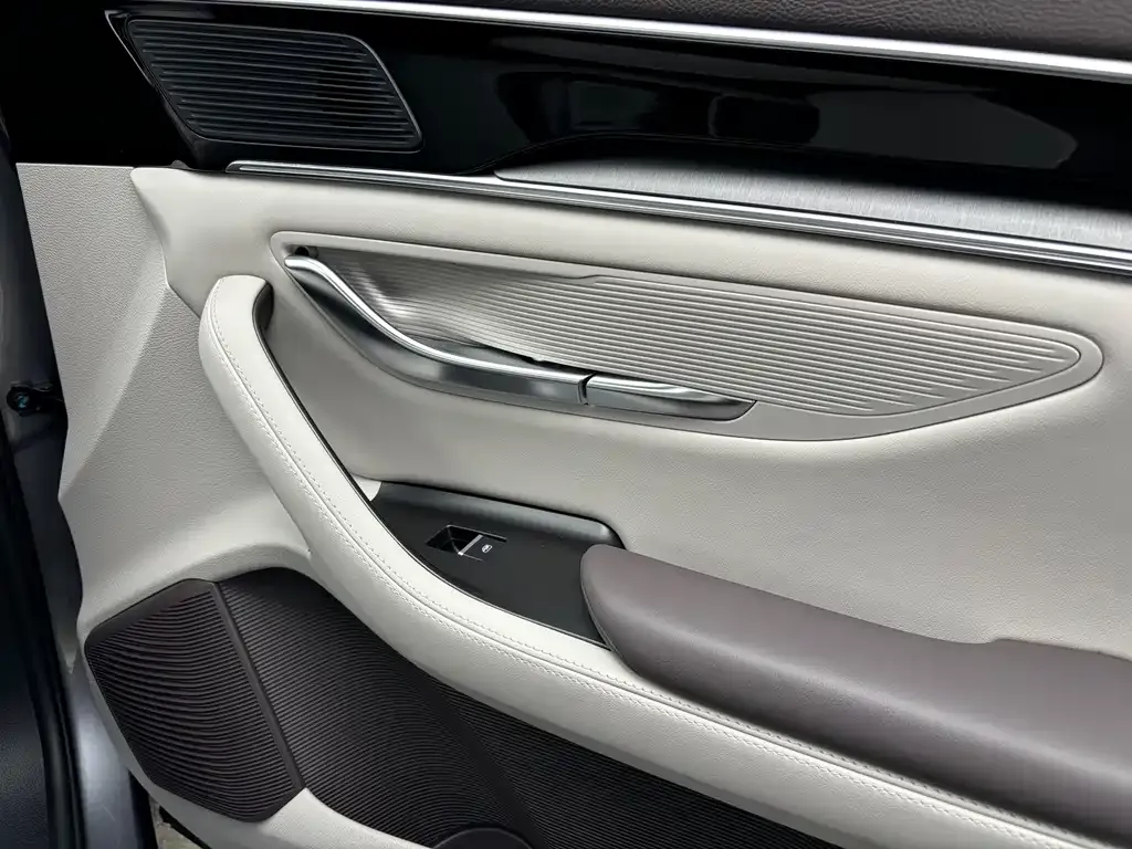 BYD PLUS New Energy — фото 8