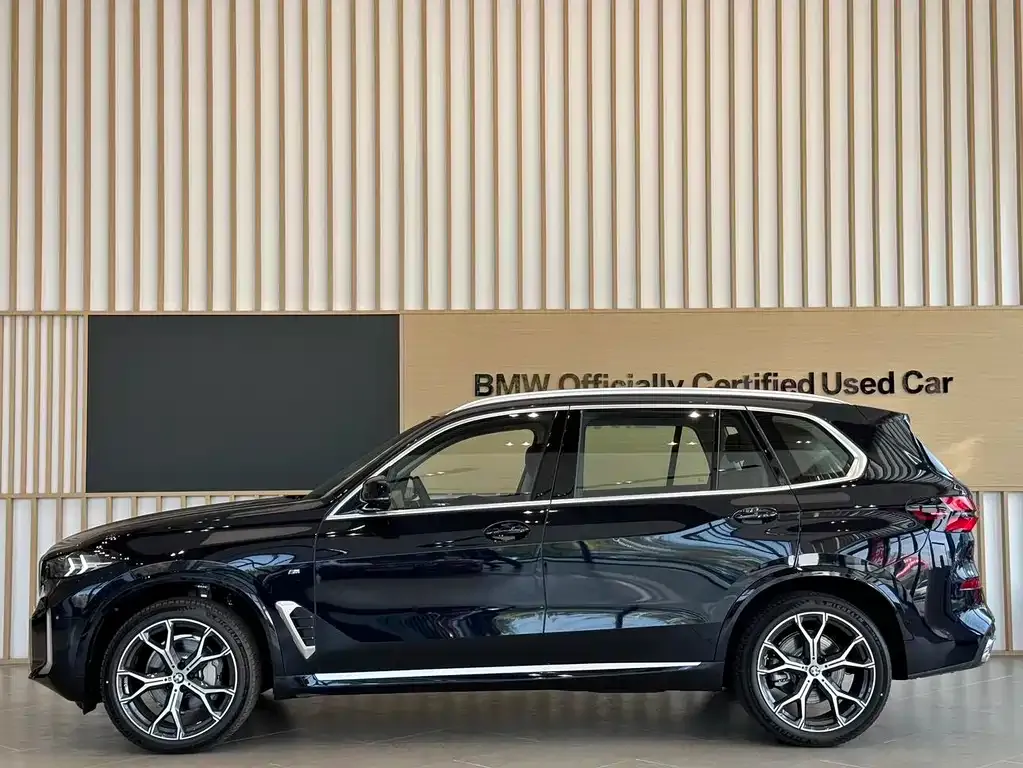 BMW X5 — фото 9