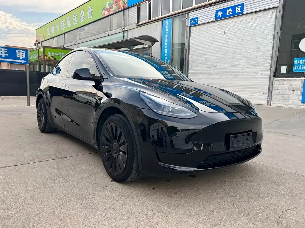 Tesla Model Y — фото 6