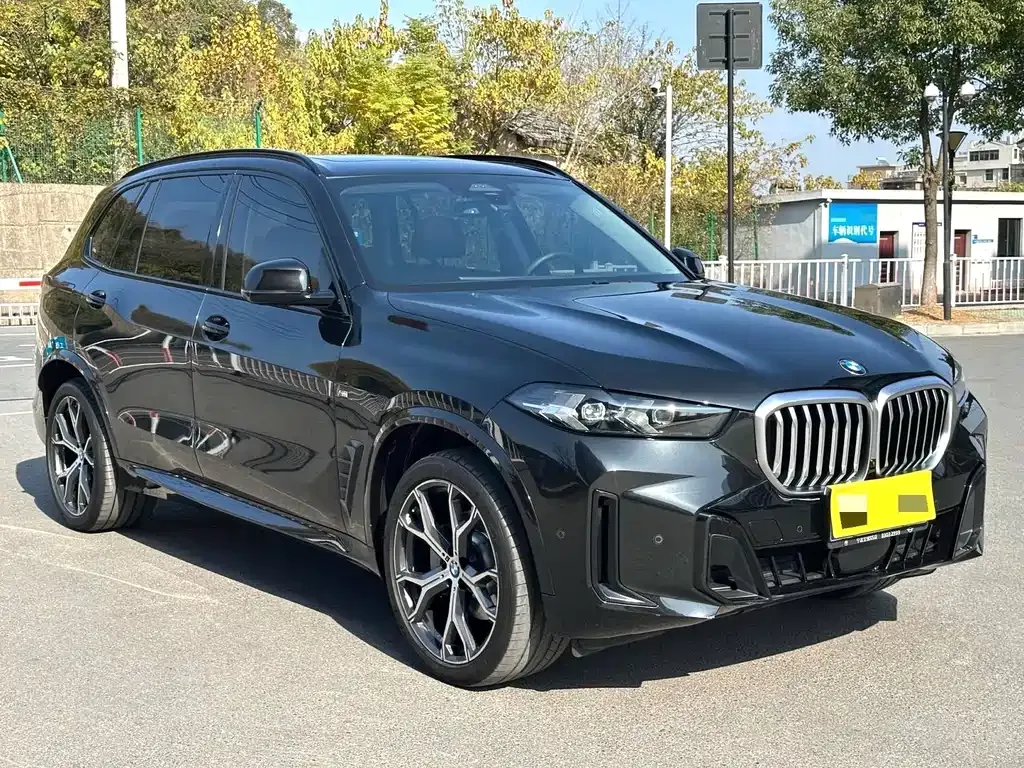 BMW X5 — фото 10