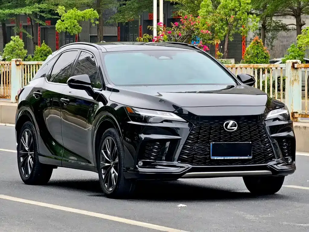 Lexus RX — фото 8