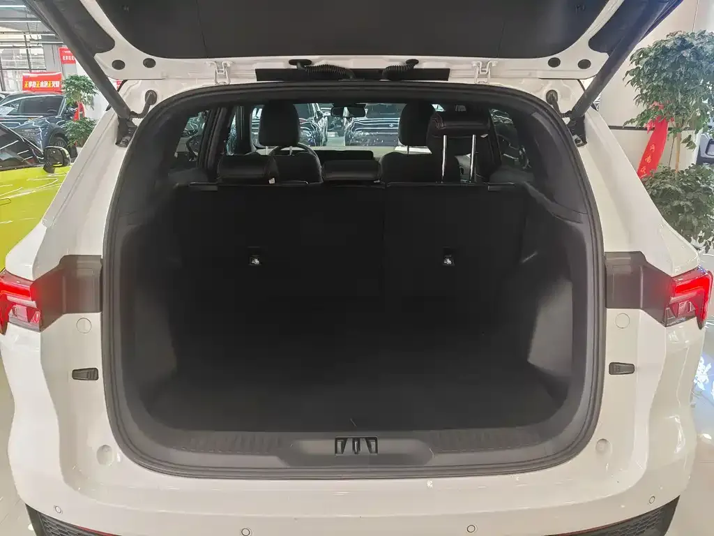 Ford Territory 2023 из CN, фото 4