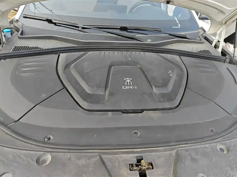 BYD PLUS New Energy 2021 из CN, фото 2