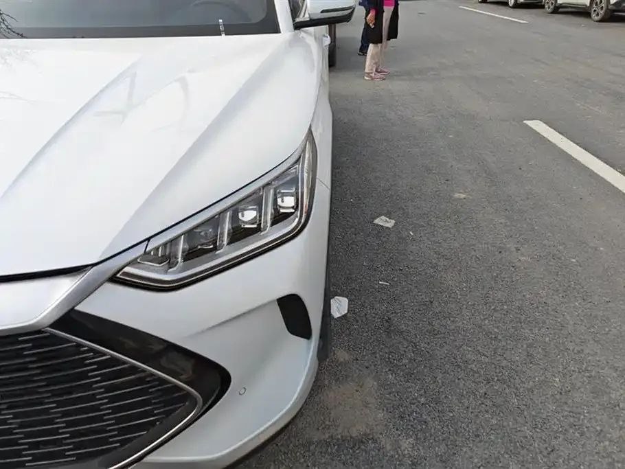 BYD PLUS New Energy 2021 из CN, фото 5