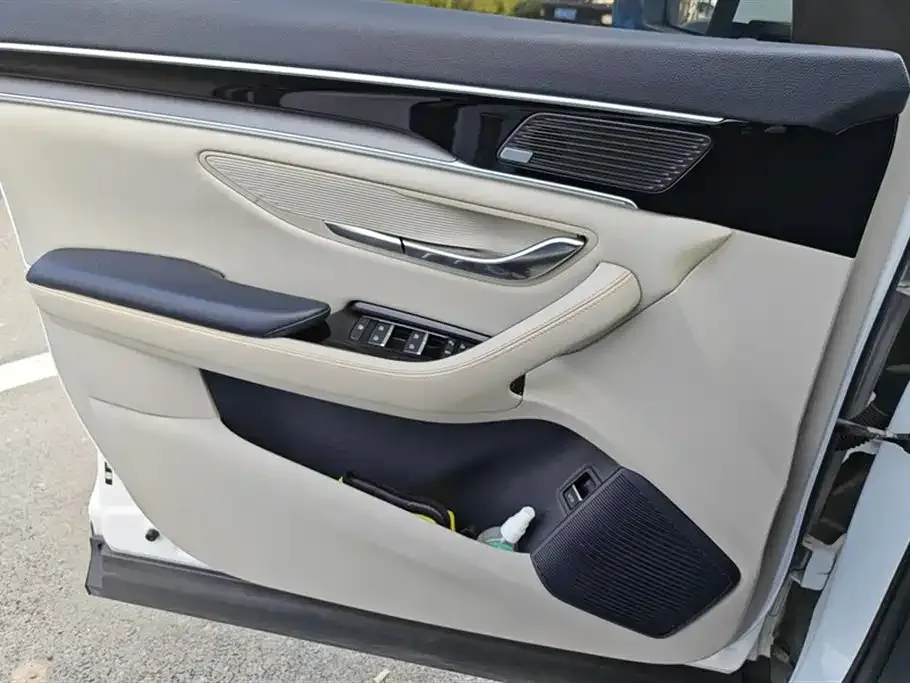 BYD PLUS New Energy 2021 из CN, фото 3