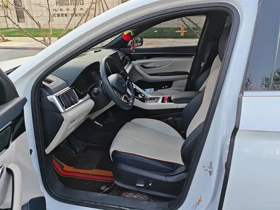 BYD PLUS New Energy 2021 из CN, фото 8