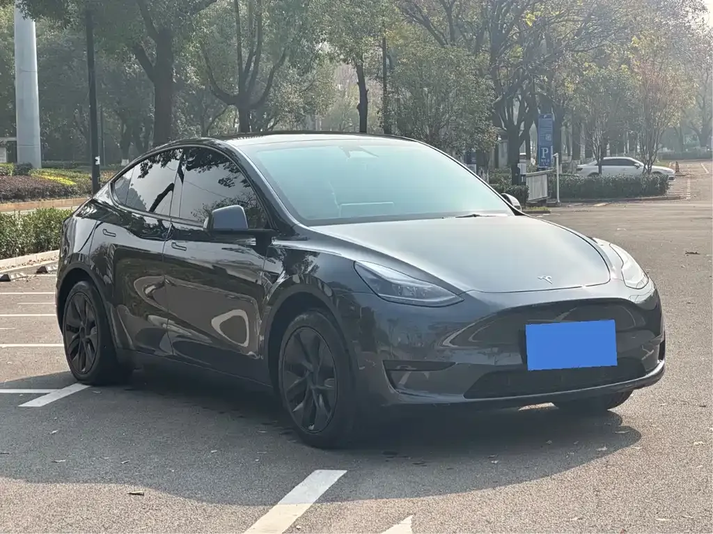 Tesla Model Y — фото 1
