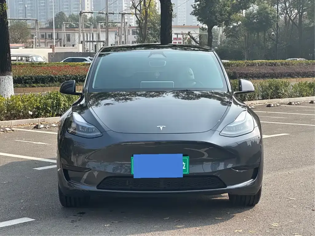 Tesla Model Y — фото 6