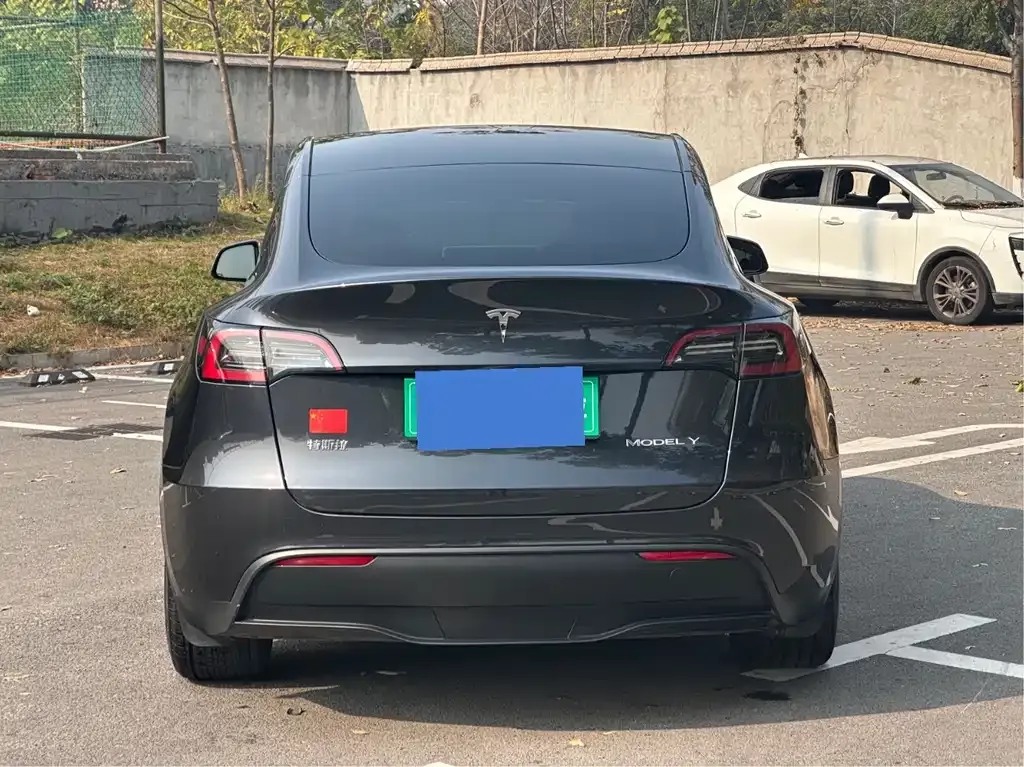 Tesla Model Y — фото 5