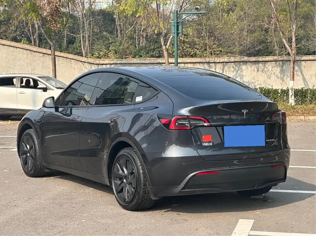 Tesla Model Y — фото 9