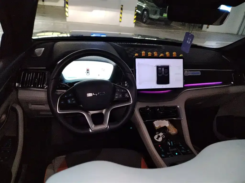 BYD PLUS New Energy 2024 из CN, фото 8